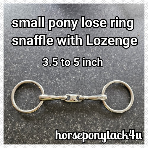 Shetland oder kleines pony - shetland,